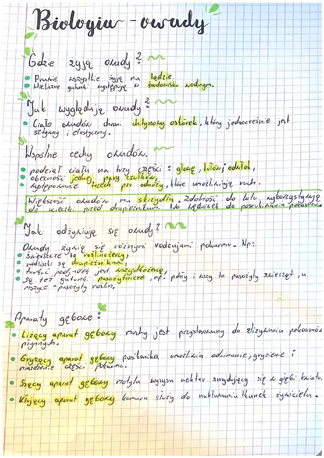 Biologia owady
Gdzie
żyją oudy ?
Pruwie wszystkie żyją nu lędzie.
Nieliczne gutunk: występują
W
●
środowisku wodnym.
2
Jak wyglądają owady &