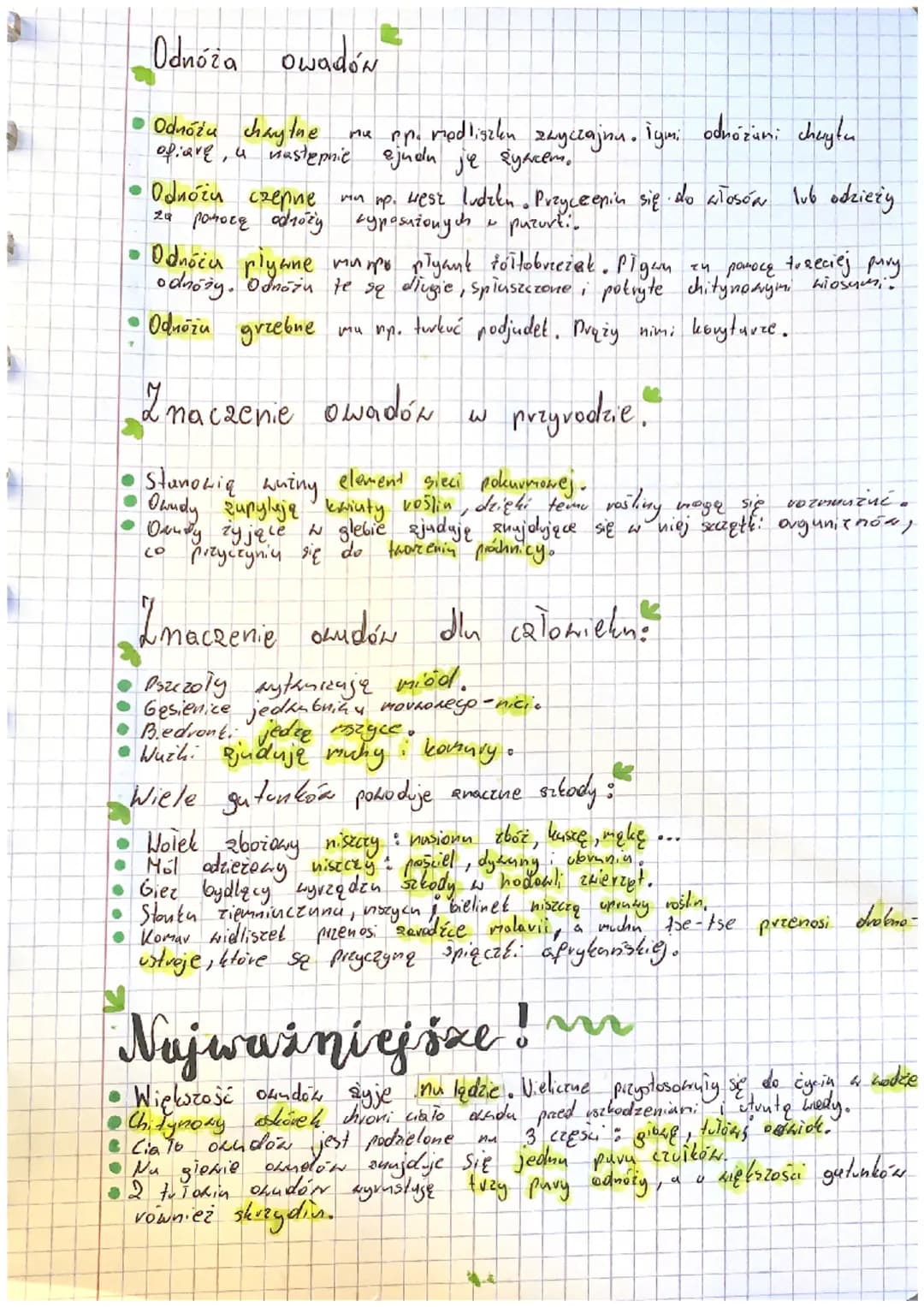 Biologia owady
Gdzie
żyją oudy ?
Pruwie wszystkie żyją nu lędzie.
Nieliczne gutunk: występują
W
●
środowisku wodnym.
2
Jak wyglądają owady &