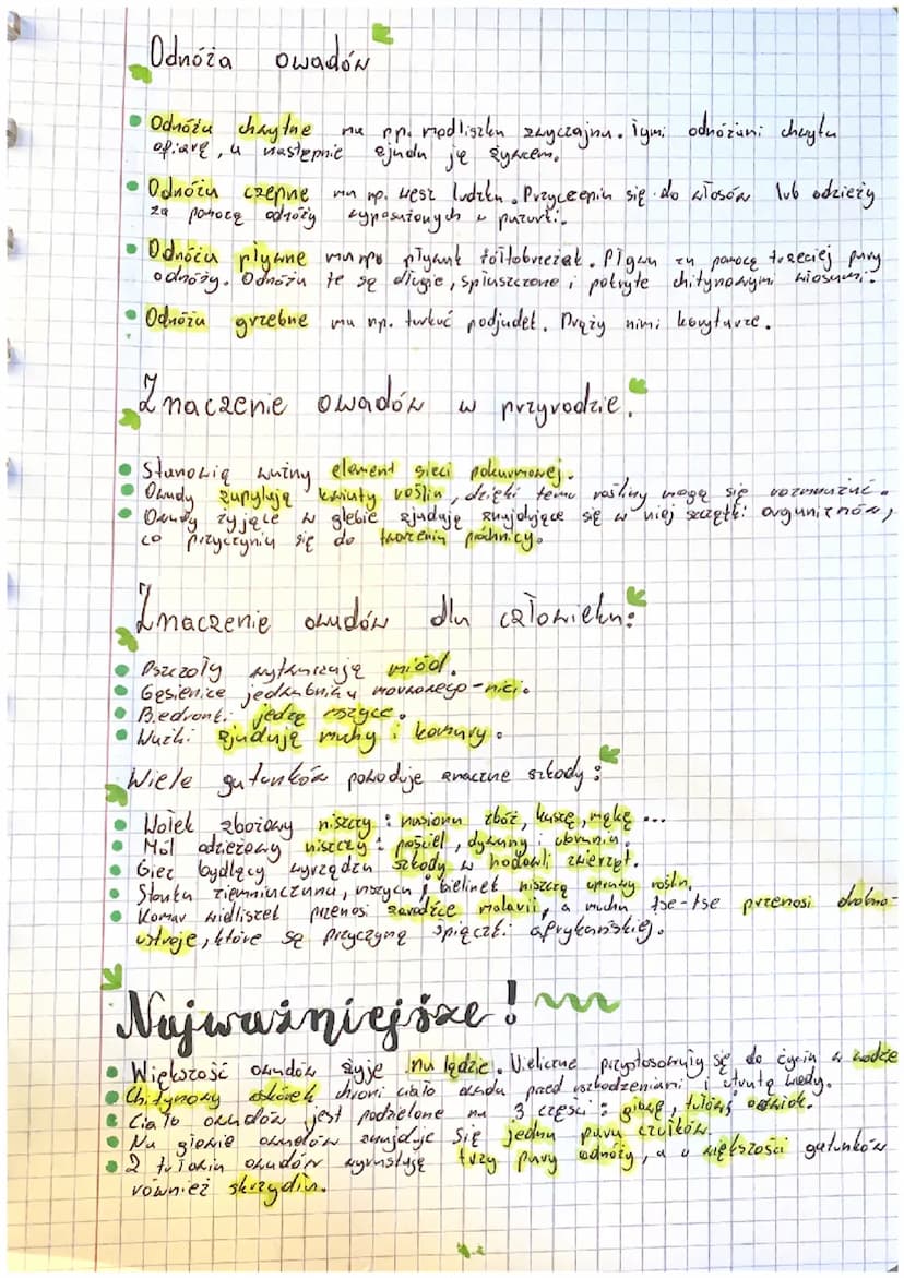 Biologia owady
Gdzie
żyją oudy ?
Pruwie wszystkie żyją nu lędzie.
Nieliczne gutunk: występują
W
●
środowisku wodnym.
2
Jak wyglądają owady &