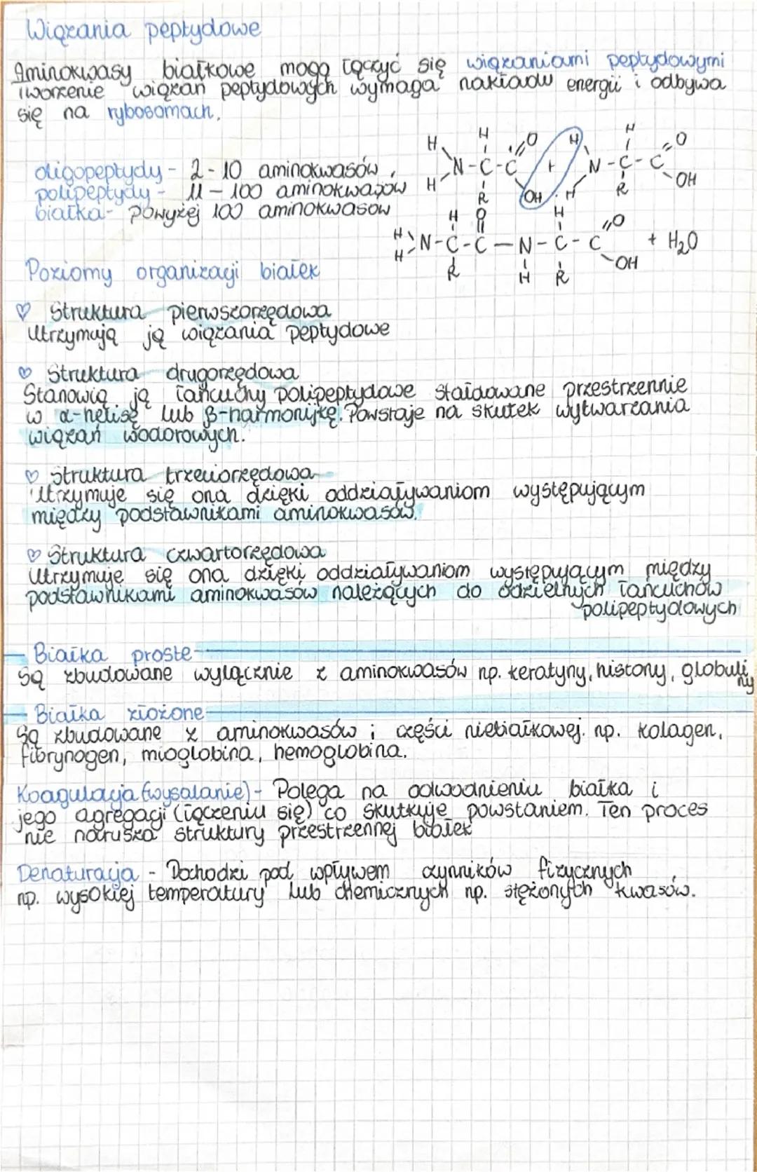 --- OCR Start ---
Aminokwasy
białkowe mogą łączyć się wiązaniami peptydowymi
Wiązania peptydowe
I workerie
się na rybosomach,
digopeptydy-2-