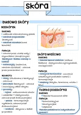 Know Budowa i funkcje skóry  thumbnail