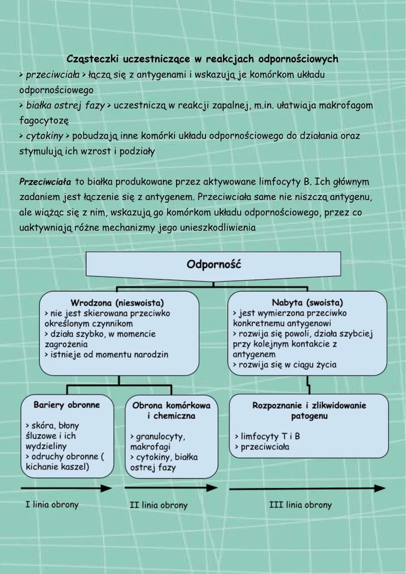 Układ odpornościowy
funkcje
> odróżnianie komórek organizmu od
obcych komórek i cząsteczek
> zwalczanie infekcji
> cząsteczki uczestniczące 