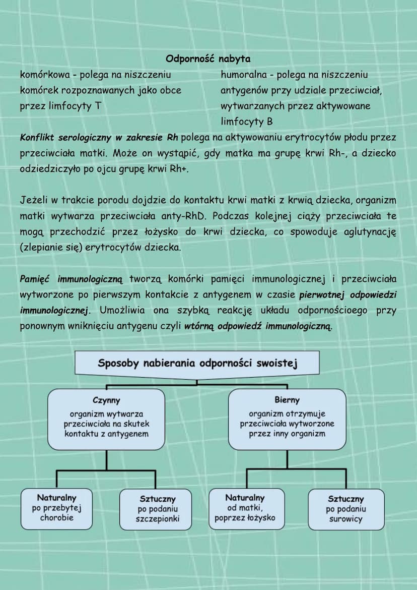Układ odpornościowy
funkcje
> odróżnianie komórek organizmu od
obcych komórek i cząsteczek
> zwalczanie infekcji
> cząsteczki uczestniczące 