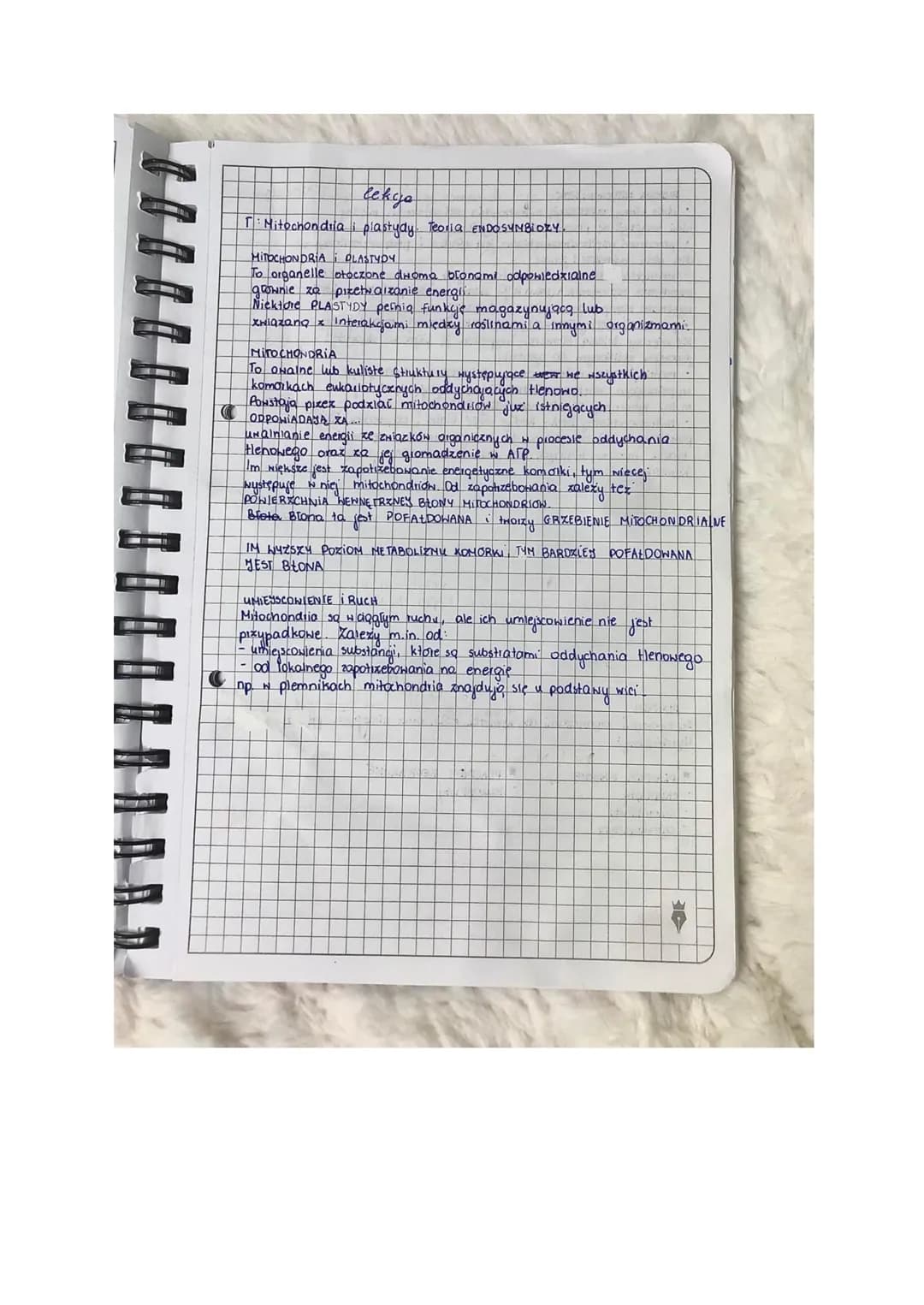 
<p>Teoria endosymbiozy zakłada, że mitochondria i plastydy mają endosymbiotyczne pochodzenie, co oznacza, że powstały poprzez internalizacj