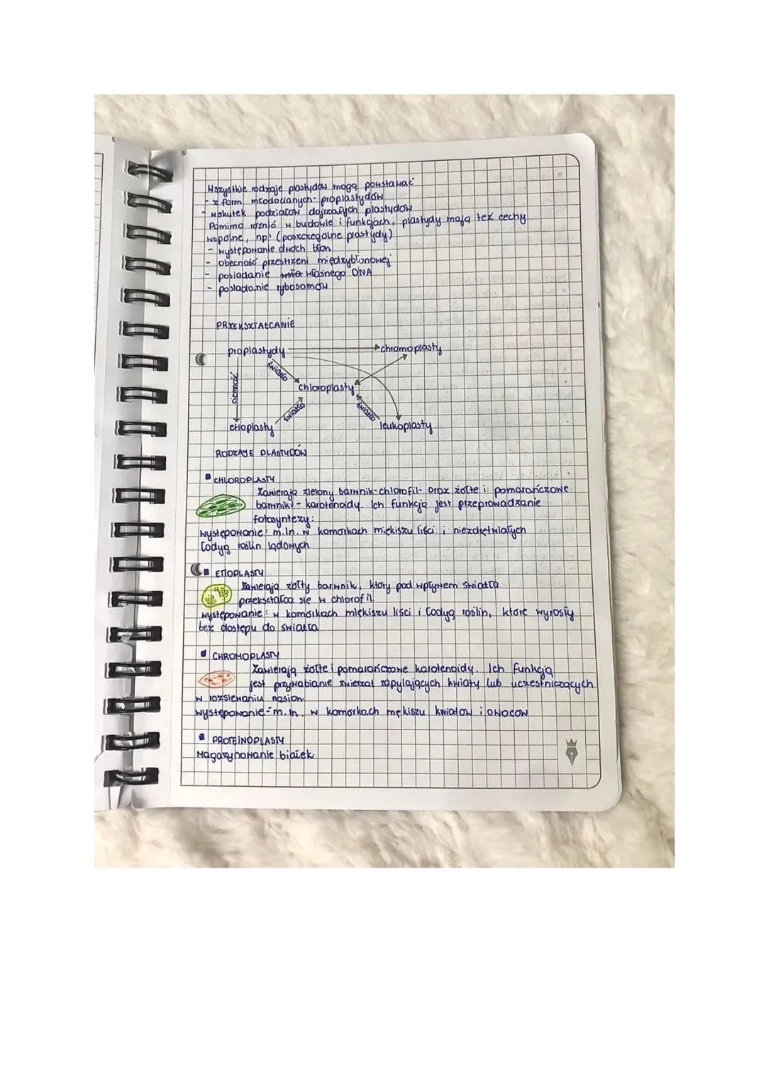 
<p>Teoria endosymbiozy zakłada, że mitochondria i plastydy mają endosymbiotyczne pochodzenie, co oznacza, że powstały poprzez internalizacj