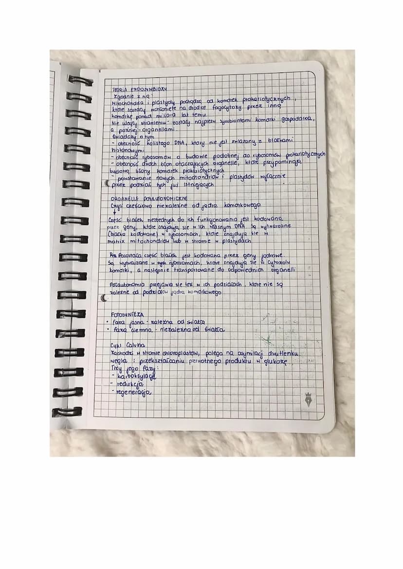 
<p>Teoria endosymbiozy zakłada, że mitochondria i plastydy mają endosymbiotyczne pochodzenie, co oznacza, że powstały poprzez internalizacj