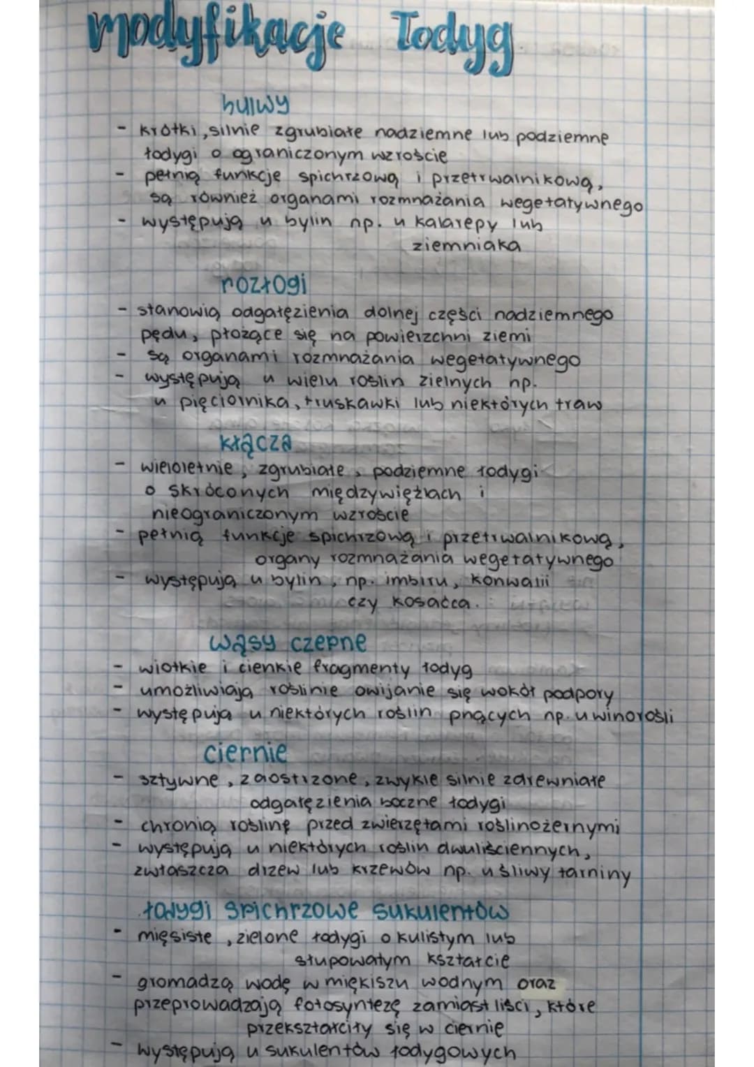 modyfikacje Todyg
bulwy
krótki, silnie zgrubiate nadziemne lub podziemne
todygi o ograniczonym wzroście
pernią funkcje spichrzową i przetrwa