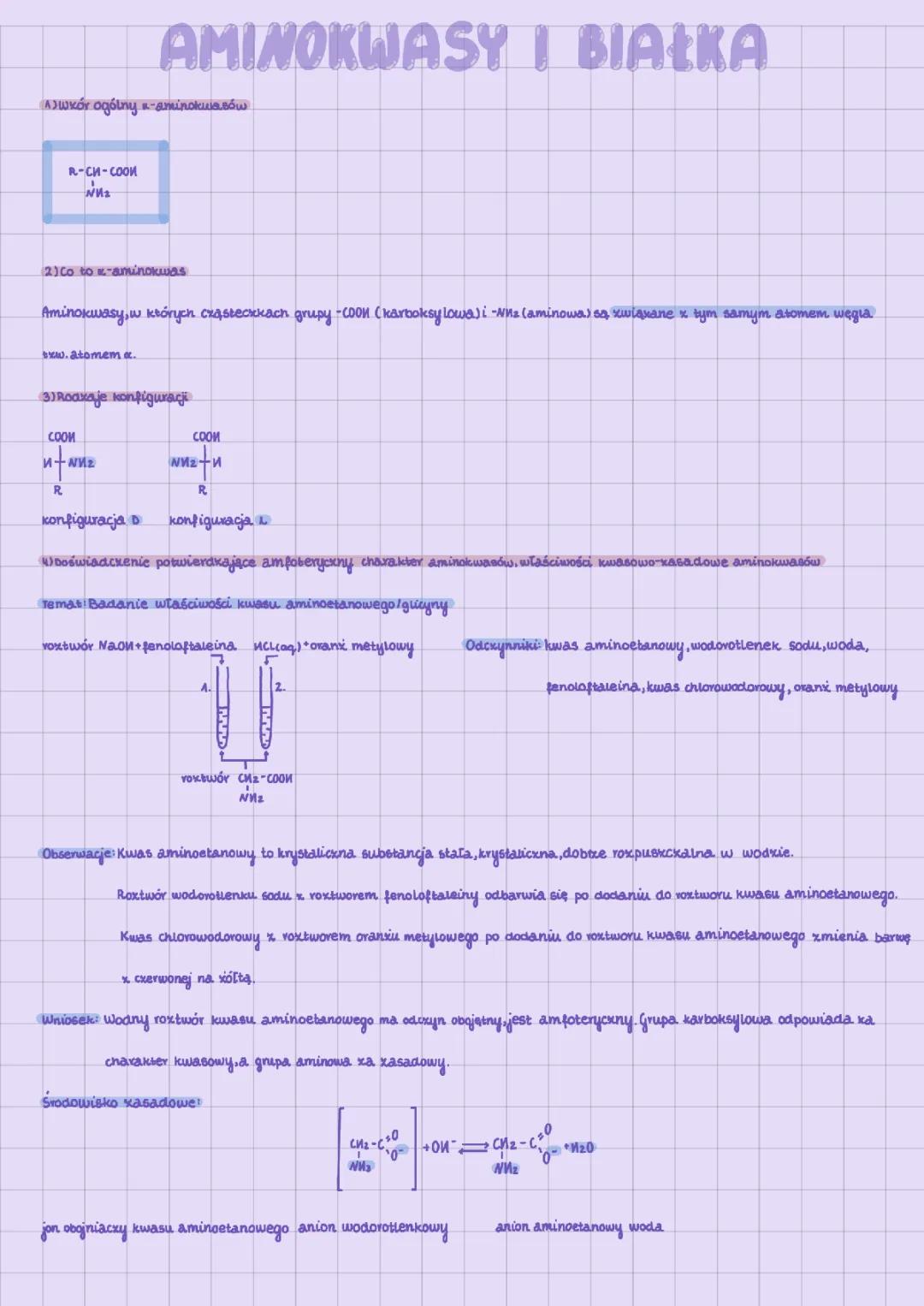 Aminokwasy i Białka: Kluczowe Informacje i Procesy