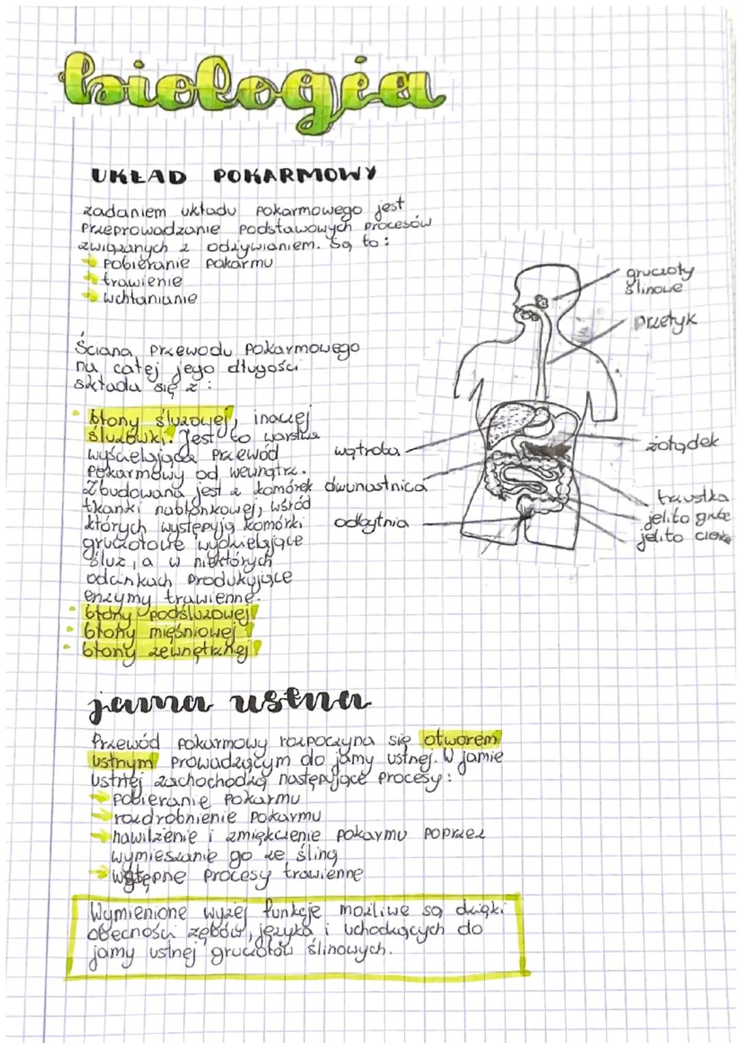 biologia
D
UKŁAD POKARMOWY
zadaniem układu pokarmowego jest
Przeprowadzanie podstawowych procesów
związanych z odzywianiem. So to:
Pobierani