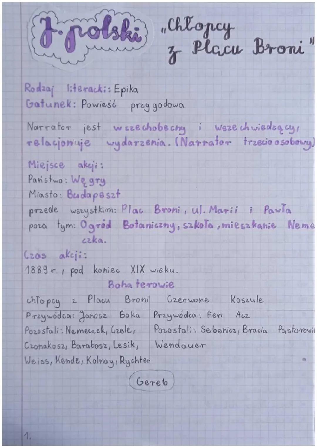 Streszczenie: Chłopcy z Placu Broni