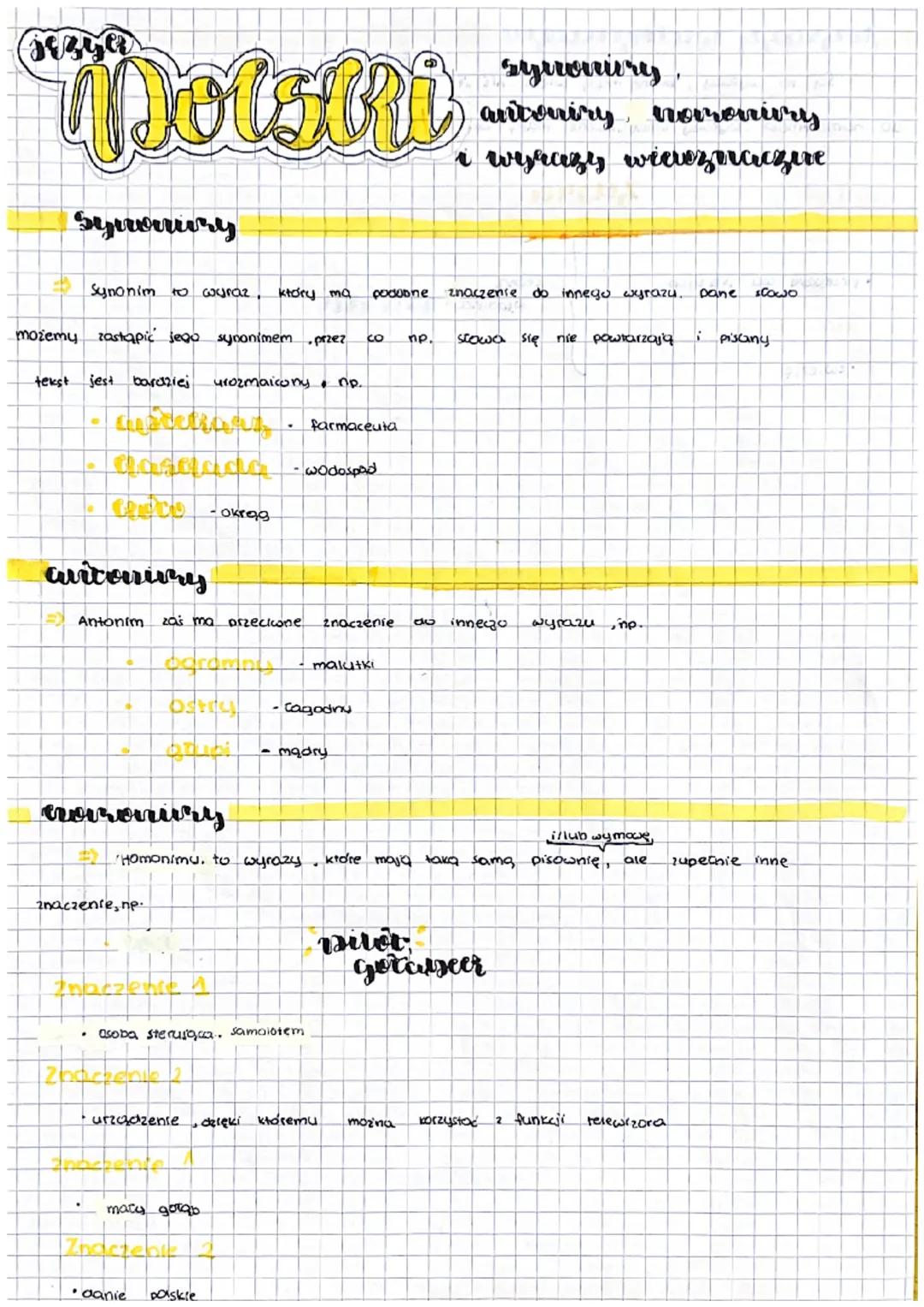 Synonimy, antonimy, homonim, wyrazy wieloznaczne.