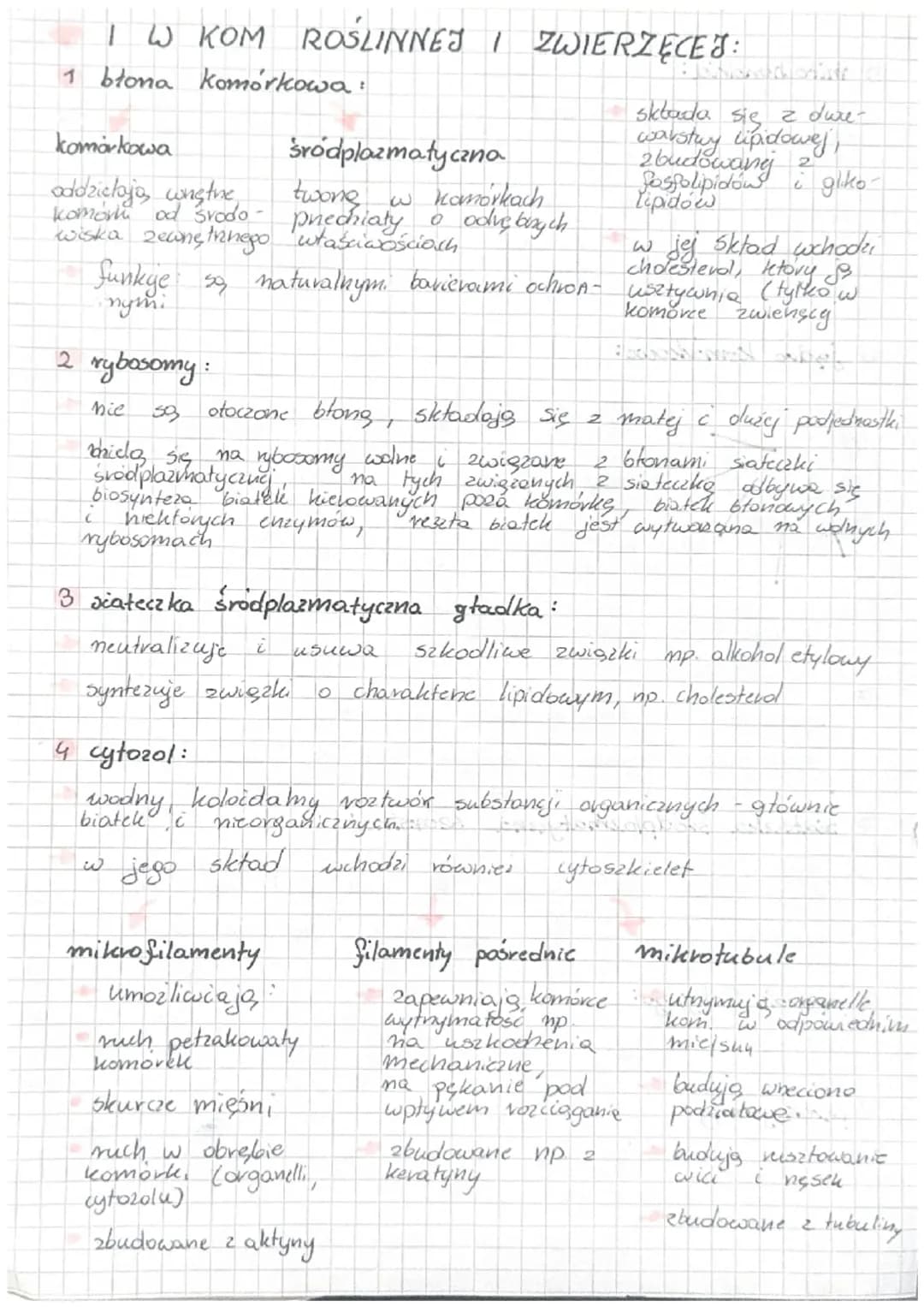 8
7
2 ściana kom:
Inadaje kształt komorce,
chroni phed uszkodzeniami,
zabezpiecza kom. pned
pęknięciem
- jest zbudowana 2 celulozy
8
6
7
6
2