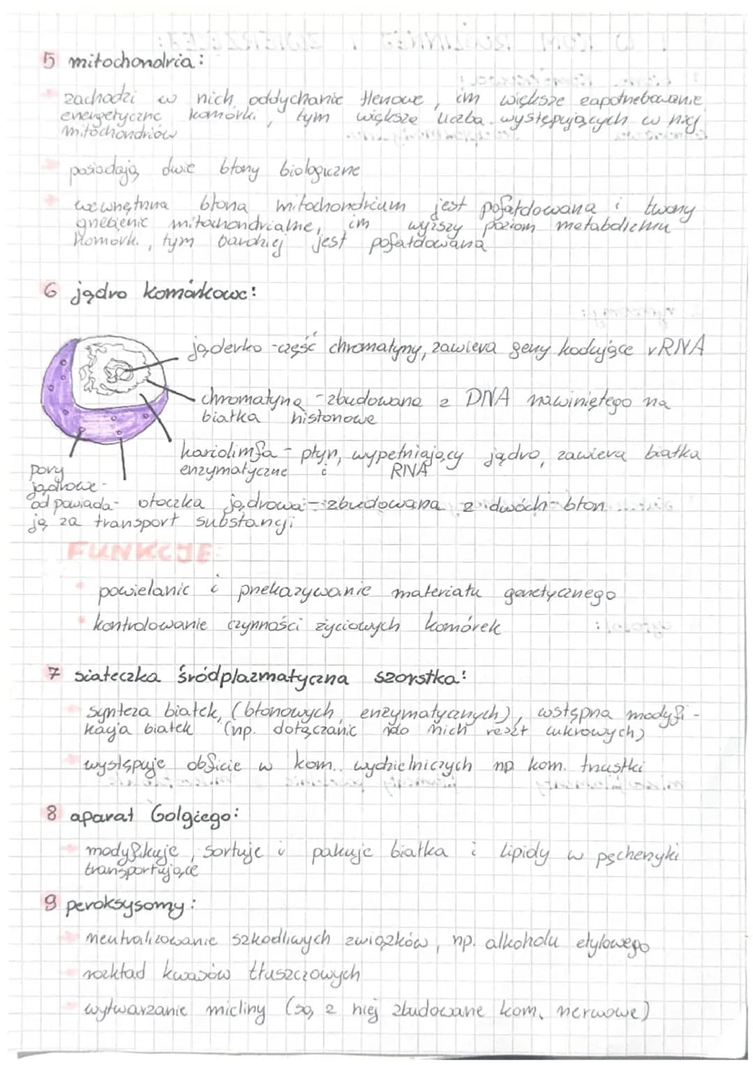 8
7
2 ściana kom:
Inadaje kształt komorce,
chroni phed uszkodzeniami,
zabezpiecza kom. pned
pęknięciem
- jest zbudowana 2 celulozy
8
6
7
6
2