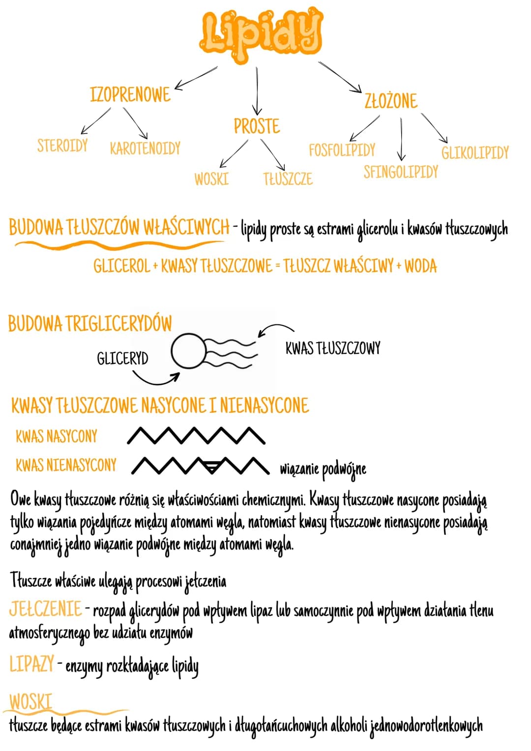 IZOPRENOWE
STEROIDY KAROTENOIDY
Lipidy
BUDOWA TRIGLICERYDÓW
GLICERYD
PROSTE
ZŁOŻONE
FOSFOLIPIDY
WOSKI TŁUSZCZE
SFINGOLIPIDY
BUDOWA TŁUSZCZÓW