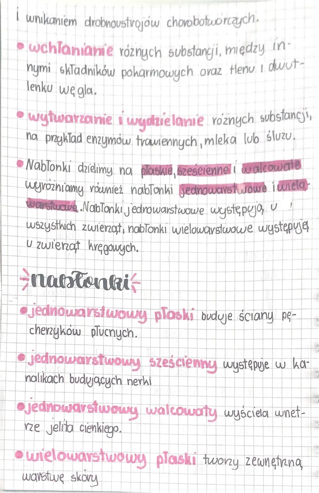 Channi
nabłonkowe
mięśniowa i
nerwowa
biologia
thanki występujące
u zwiengt-
Ciała zwierzął są zbudowane z tkanki nabłon-
kowej, mięśniowej,