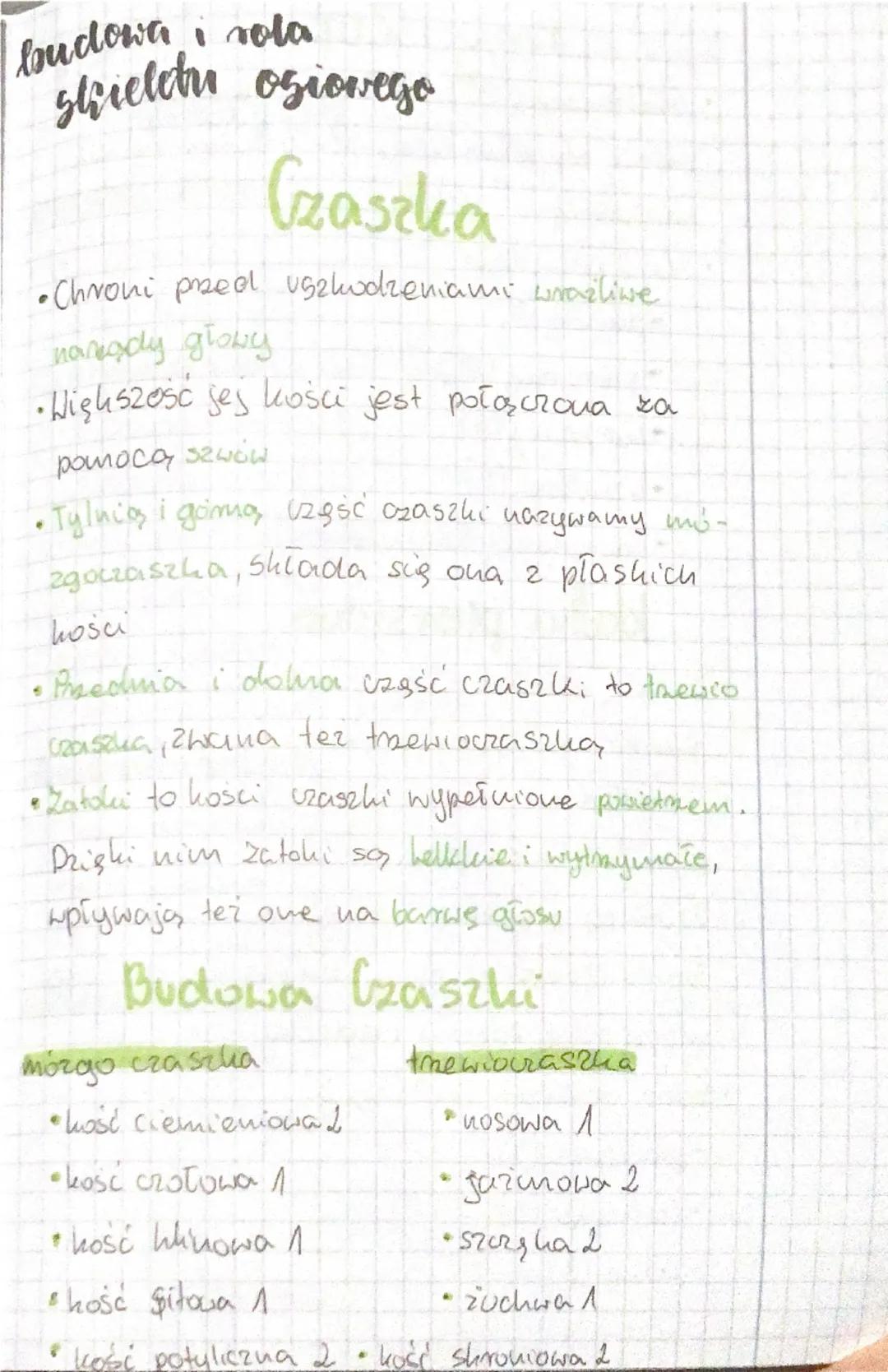 # biologia

## aparat

## ruchu

czość czynna -układ misshiowy

*   misshie szkieletowe

cesść bierna-układ szkieletowy

*   sakiehet osiowy