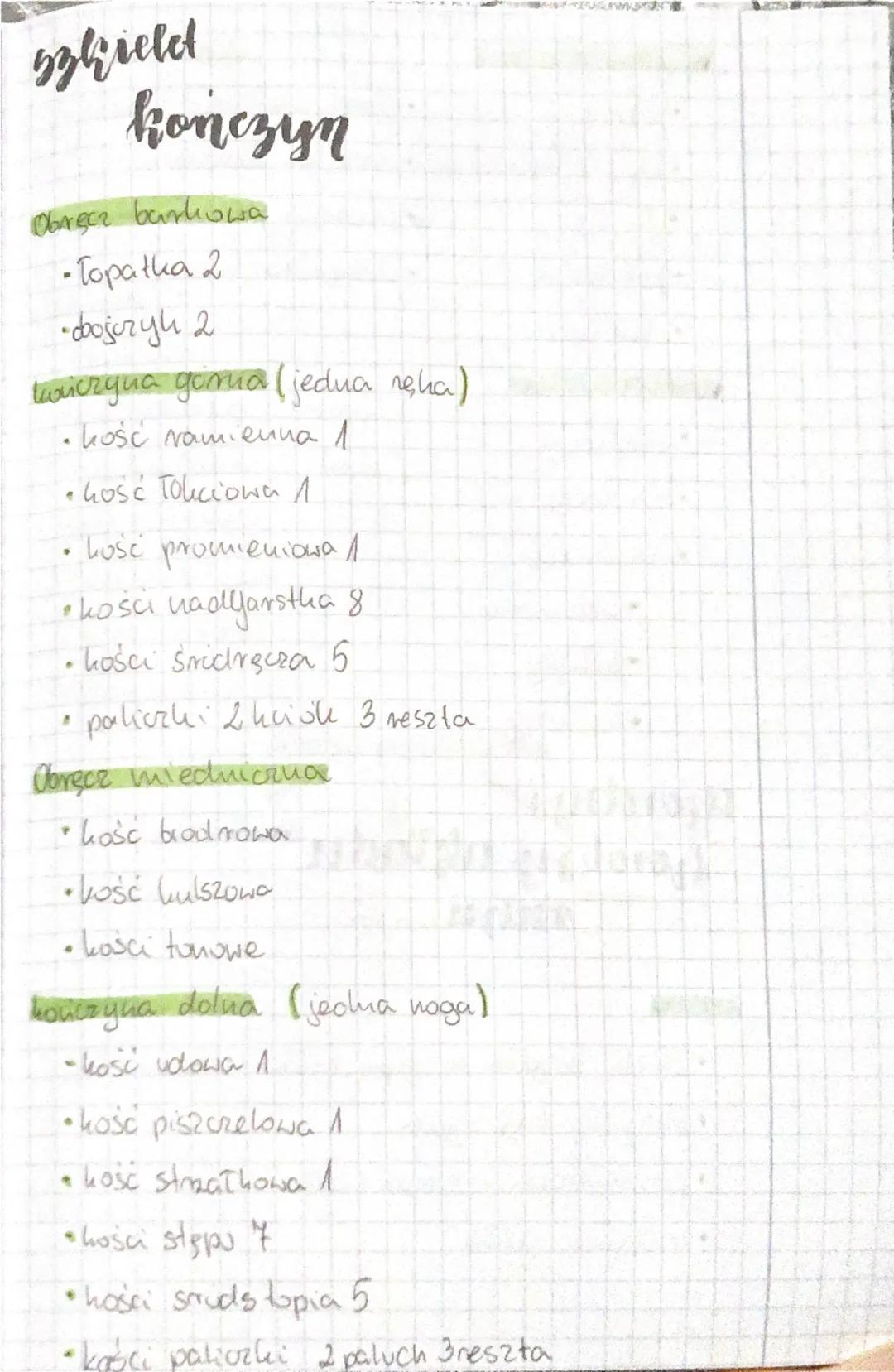 # biologia

## aparat

## ruchu

czość czynna -układ misshiowy

*   misshie szkieletowe

cesść bierna-układ szkieletowy

*   sakiehet osiowy