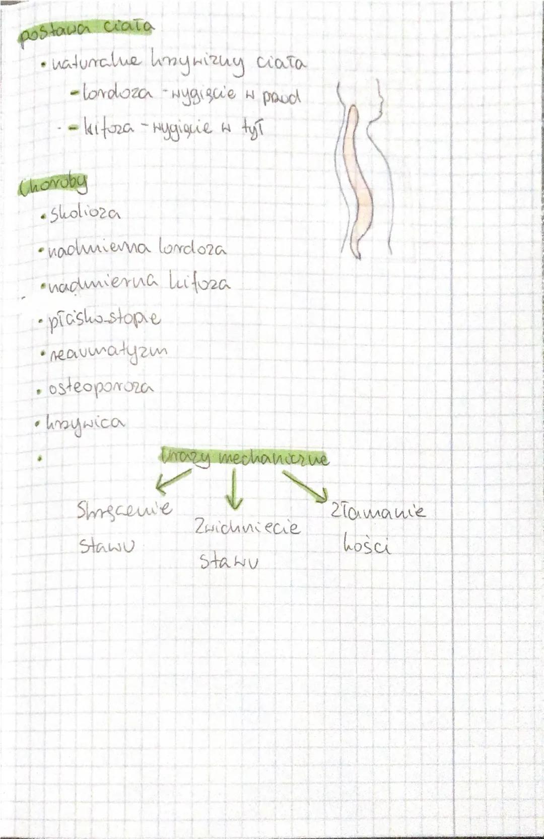 # biologia

## aparat

## ruchu

czość czynna -układ misshiowy

*   misshie szkieletowe

cesść bierna-układ szkieletowy

*   sakiehet osiowy