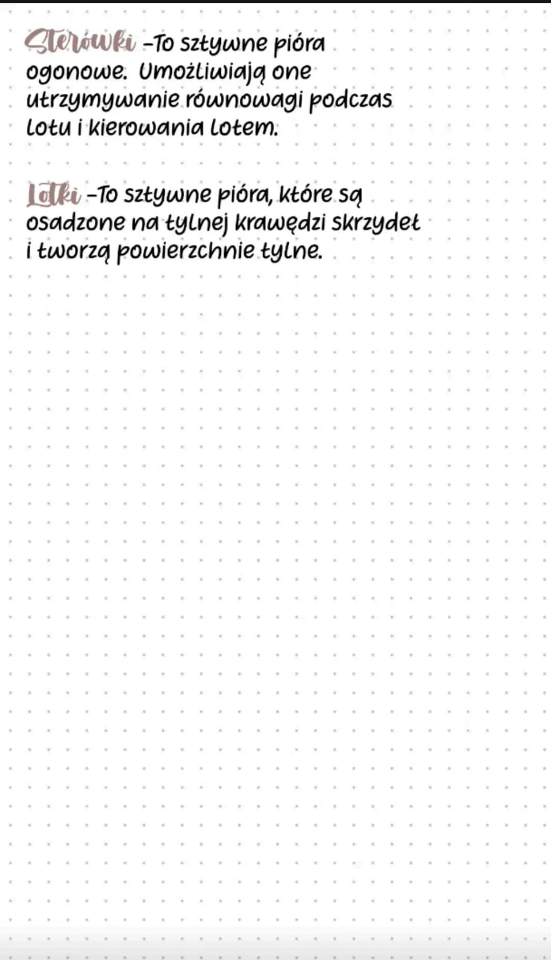 Sterowki -To sztywne pióra
ogonowe. Umożliwiają one
utrzymywanie równowagi podczas
Lotu i kierowania lotem.
Lotki-To sztywne pióra, które są