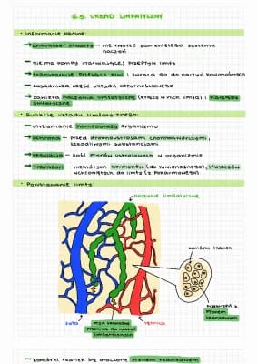 Know Układ limfatyczny thumbnail