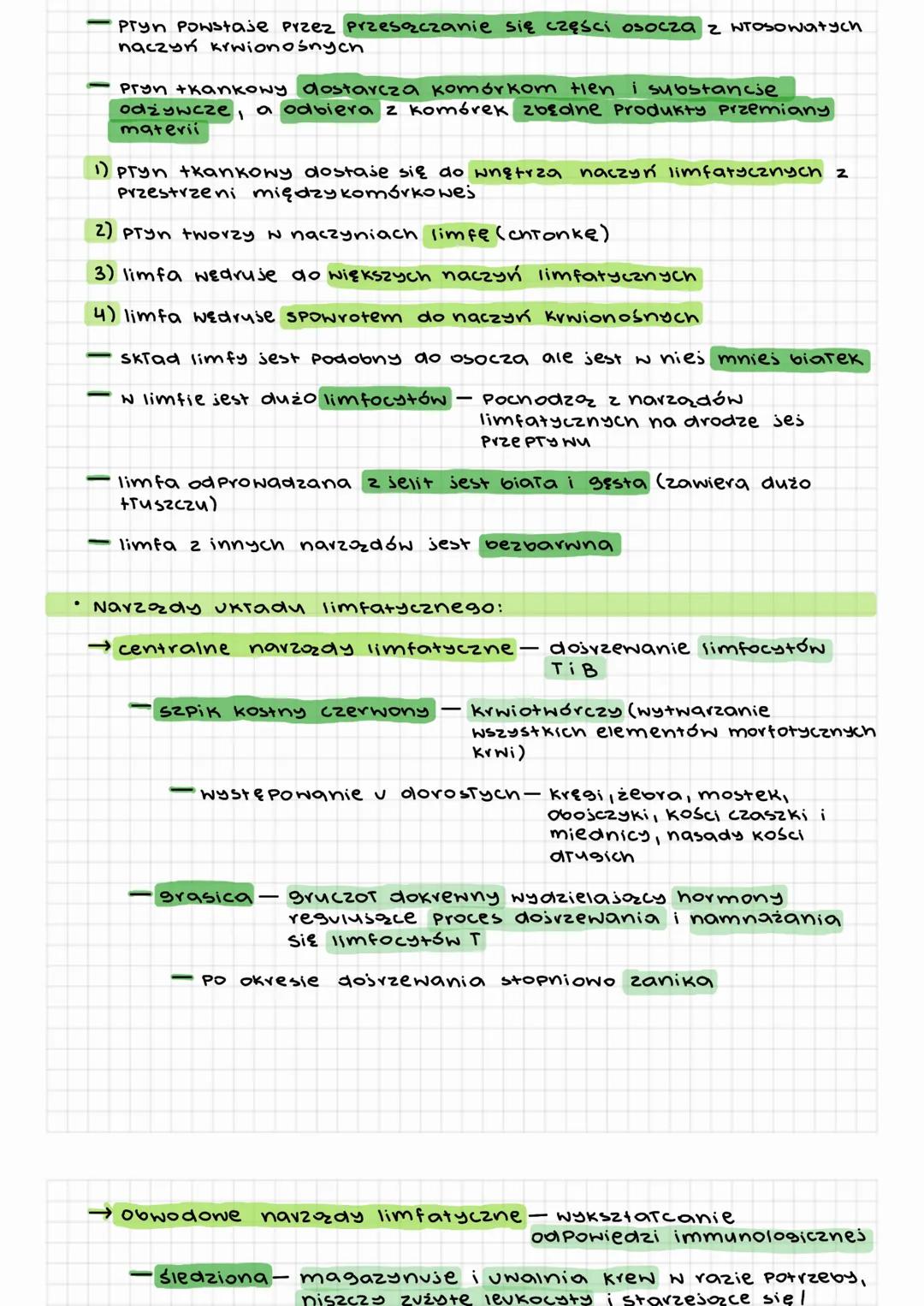 Proste wyjaśnienie: Jak działa układ limfatyczny? Funkcje, rola ...