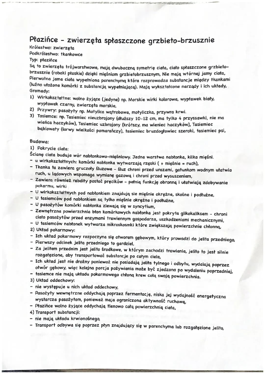 Płazińce