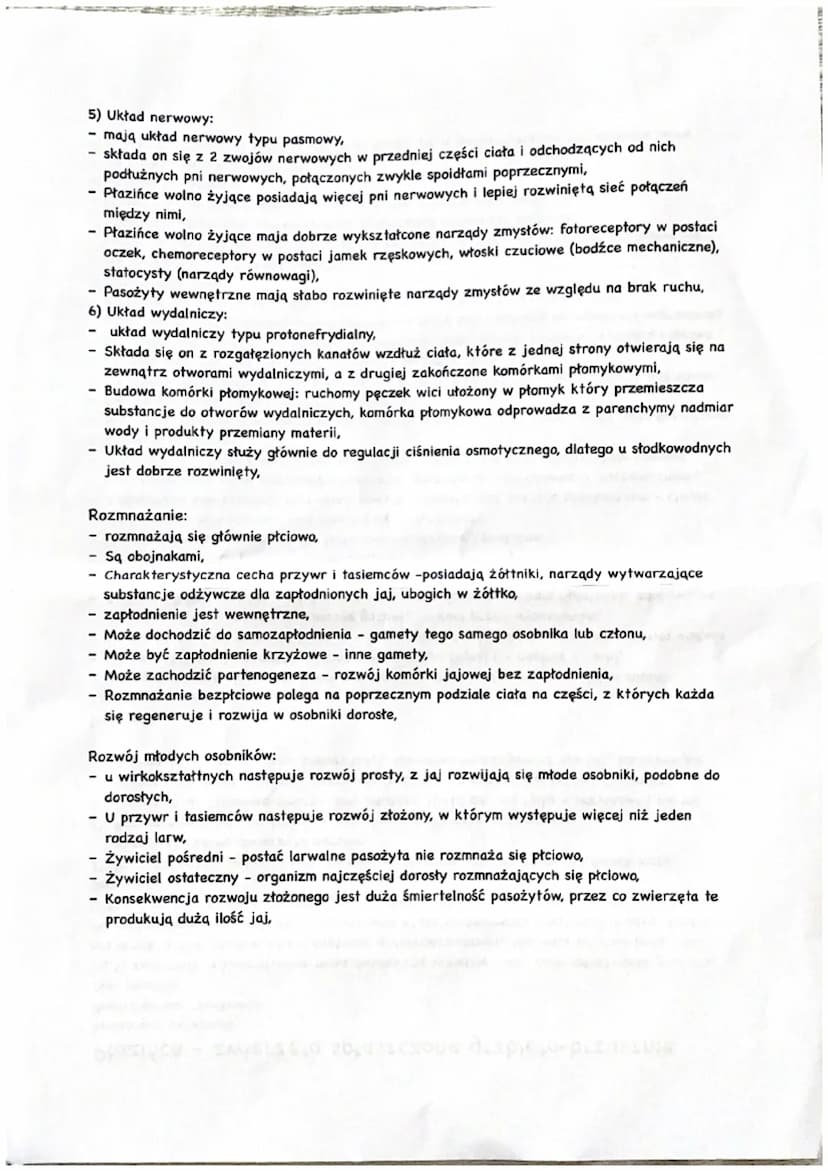Płazińce - zwierzęta spłaszczone grzbieto-brzusznie
Królestwo: zwierzęta
Podkrólestwo: tkankowce
Typ: płazińce
Są to zwierzęta trójwarstwowe