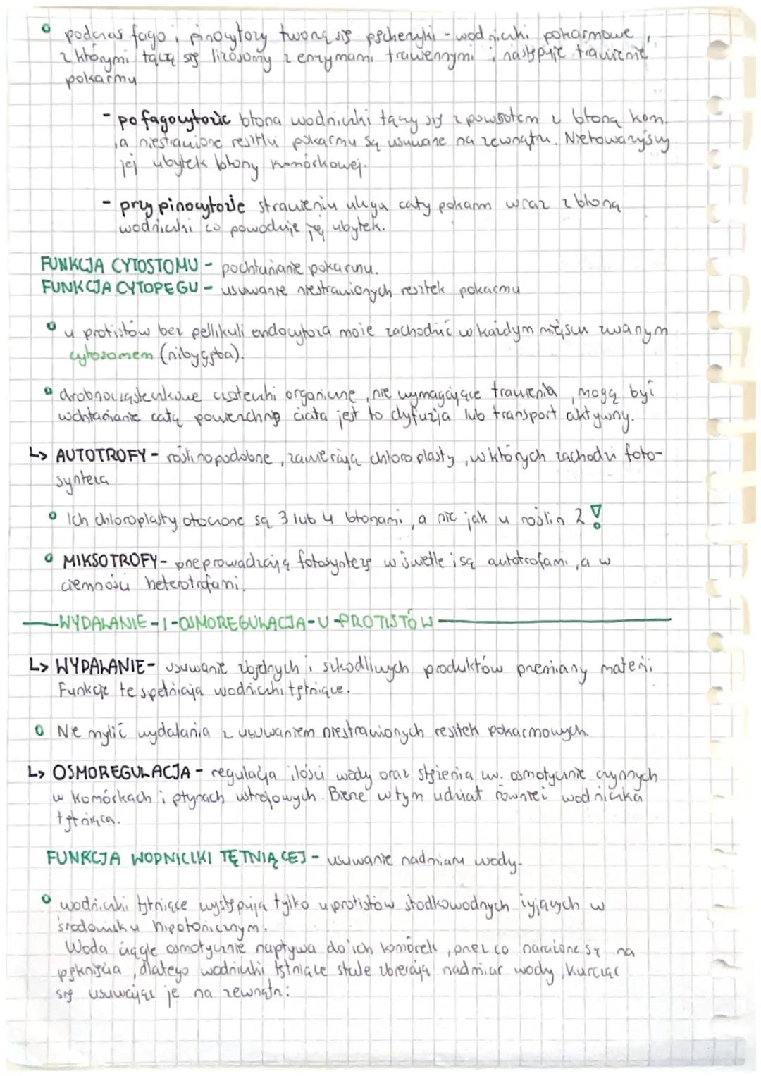 17
1.3
H
40
I
-protisty
Protisty pochodzą od wspólnego prodka. Jest prodkiem roślin, zwienat
grybow.
O
PROSTE ORGANIZMY EUKARIOTYCZNE 12.3
•