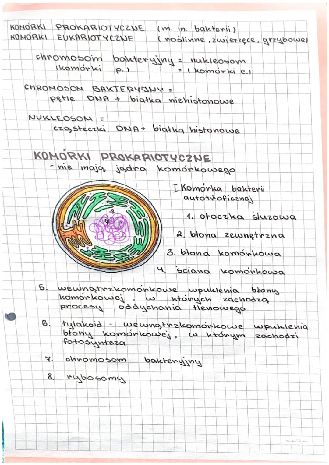 3.1.
H
BUDOWA
RODZAJE KOMOREK.
II
FUNKCJE KOMORKI.
I ORGANIZMY JEDNOKOMÓRKOWE
KOMORKA- podstawowa jednostka budulcowa
i funkcjonalna organiz