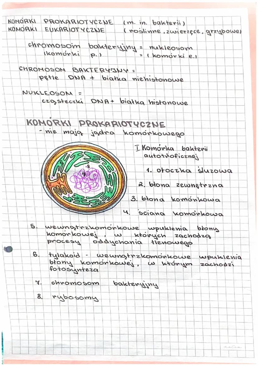 3.1.
H
BUDOWA
RODZAJE KOMOREK.
II
FUNKCJE KOMORKI.
I ORGANIZMY JEDNOKOMÓRKOWE
KOMORKA- podstawowa jednostka budulcowa
i funkcjonalna organiz