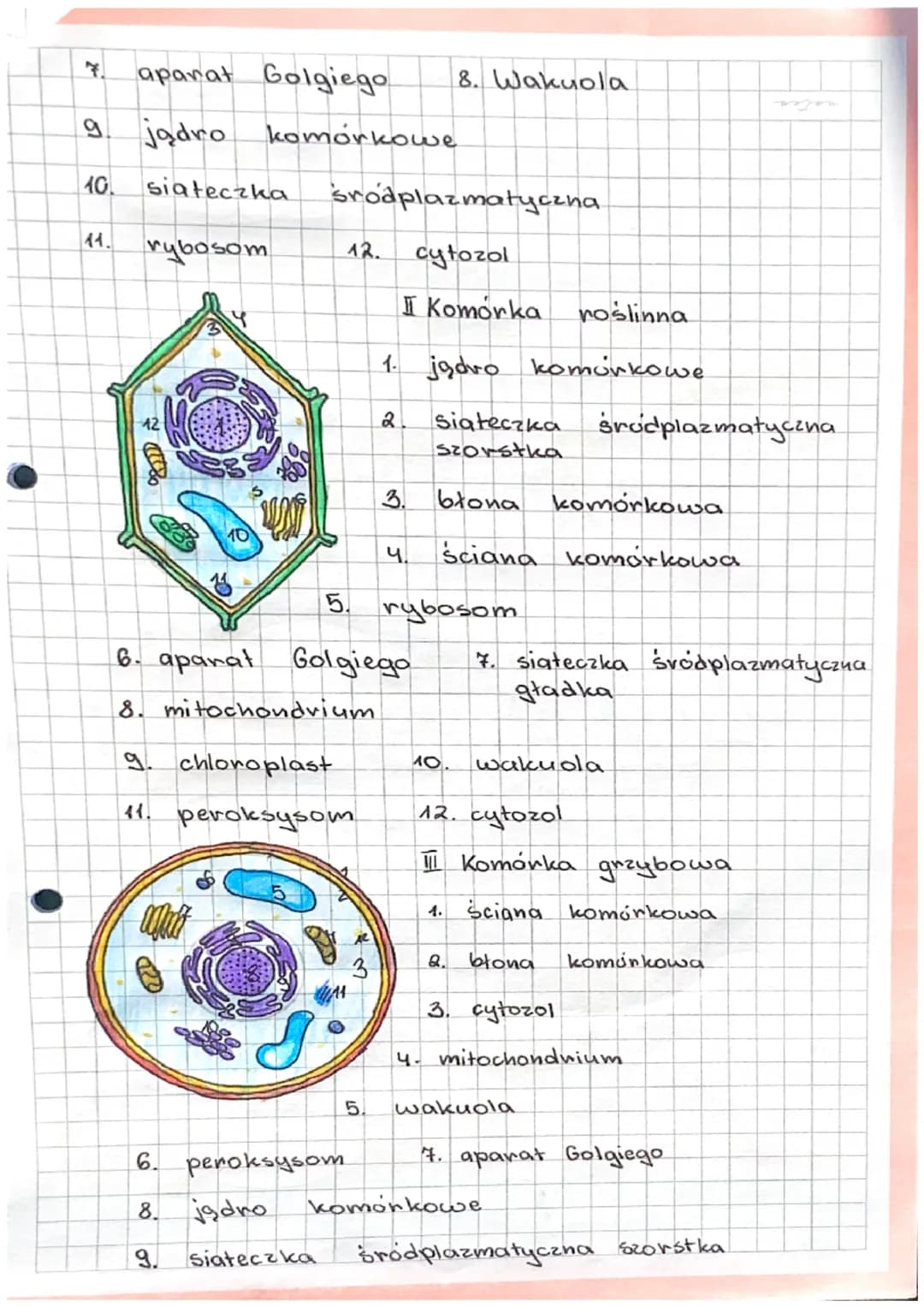 3.1.
H
BUDOWA
RODZAJE KOMOREK.
II
FUNKCJE KOMORKI.
I ORGANIZMY JEDNOKOMÓRKOWE
KOMORKA- podstawowa jednostka budulcowa
i funkcjonalna organiz