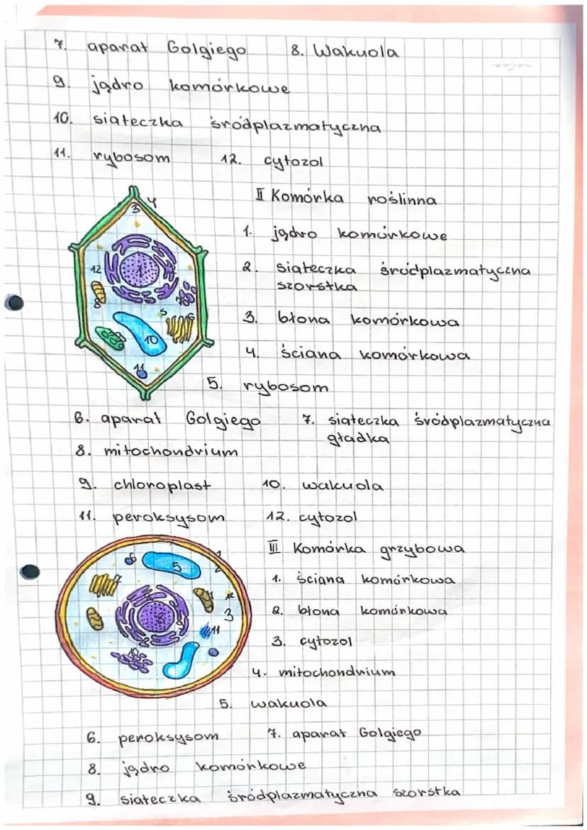 3.1.
H
BUDOWA
RODZAJE KOMOREK.
II
FUNKCJE KOMORKI.
I ORGANIZMY JEDNOKOMÓRKOWE
KOMORKA- podstawowa jednostka budulcowa
i funkcjonalna organiz