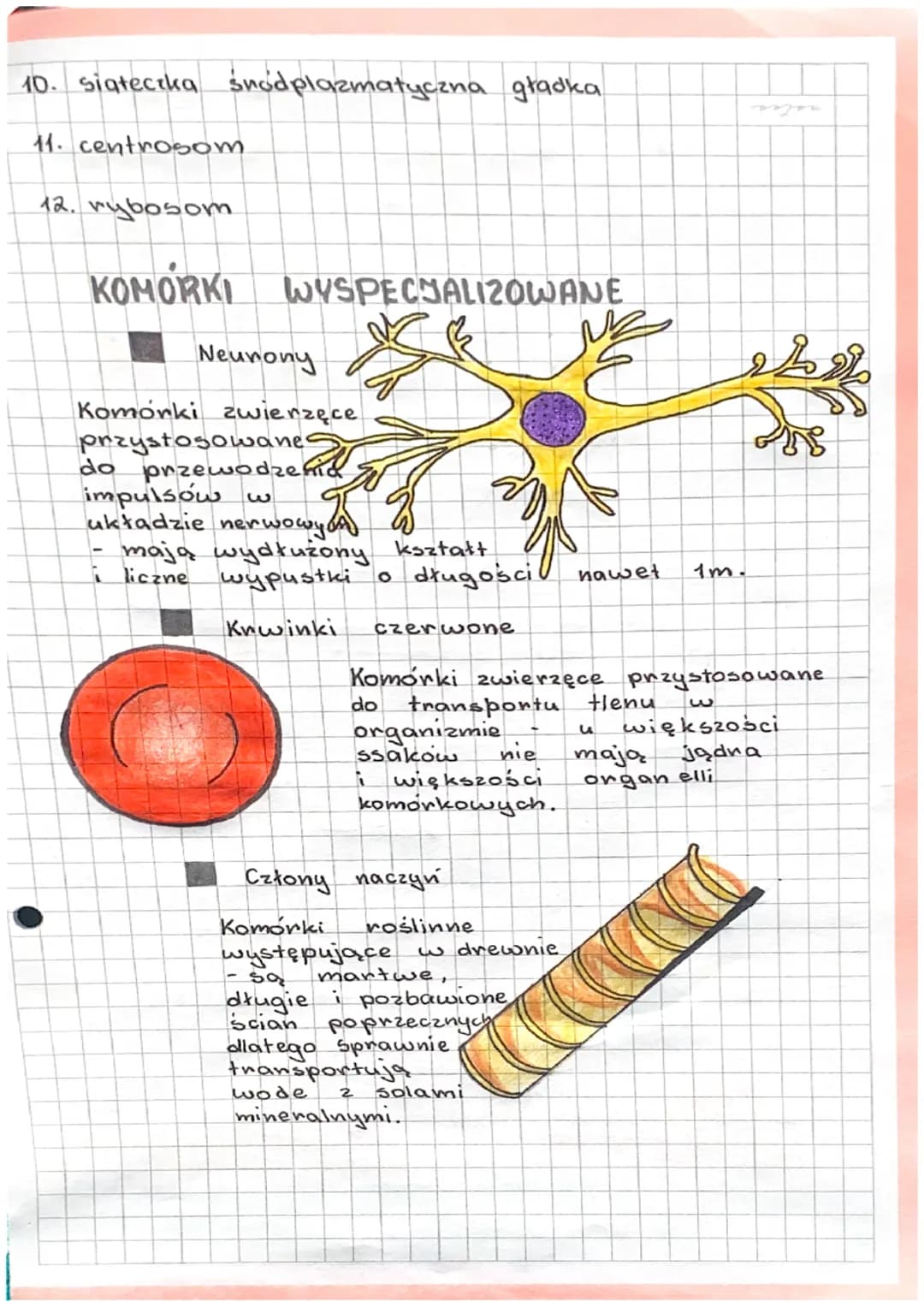 3.1.
H
BUDOWA
RODZAJE KOMOREK.
II
FUNKCJE KOMORKI.
I ORGANIZMY JEDNOKOMÓRKOWE
KOMORKA- podstawowa jednostka budulcowa
i funkcjonalna organiz