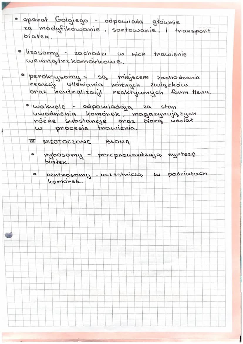 3.1.
H
BUDOWA
RODZAJE KOMOREK.
II
FUNKCJE KOMORKI.
I ORGANIZMY JEDNOKOMÓRKOWE
KOMORKA- podstawowa jednostka budulcowa
i funkcjonalna organiz