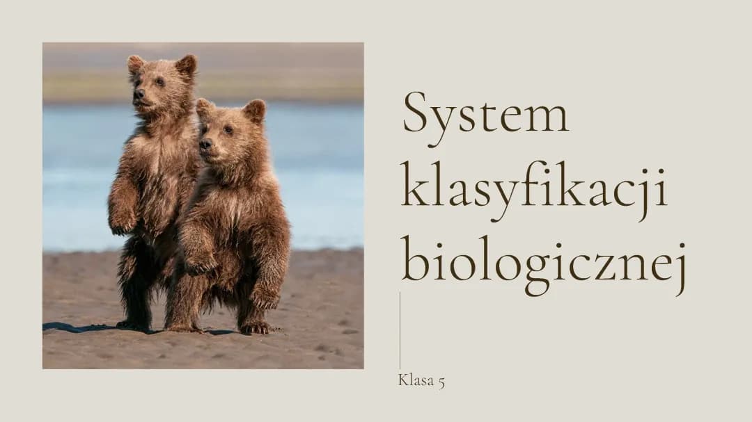 System klasyfikacji biologicznej - Biologia Klasa 5