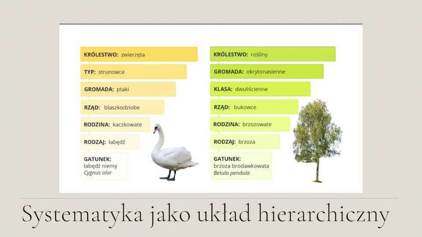 System
klasyfikacji
biologicznej
Klasa 5 Czym jest systematyka?
Systematyka to najstarsza dziedzina nauk biologicznych, zajmująca się
klasyf