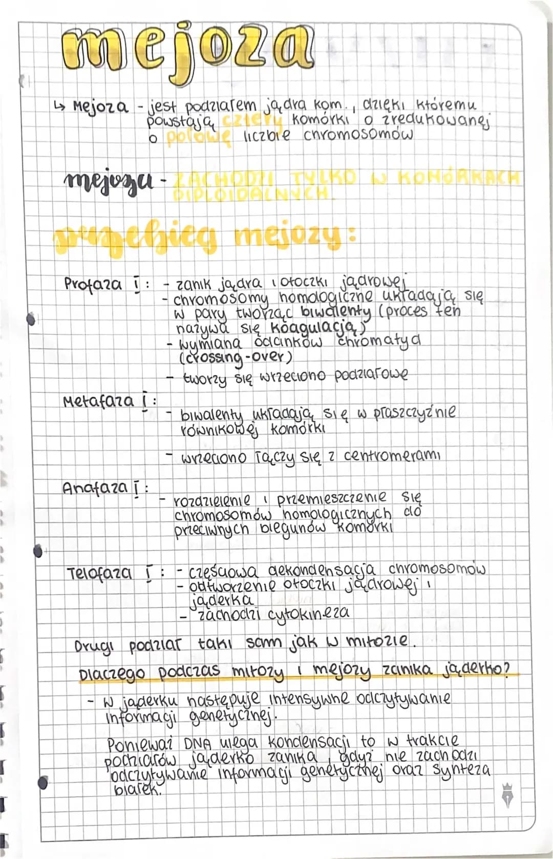 Co to jest koagulacja białka i mejoza? Przewodnik dla młodych naukowców!