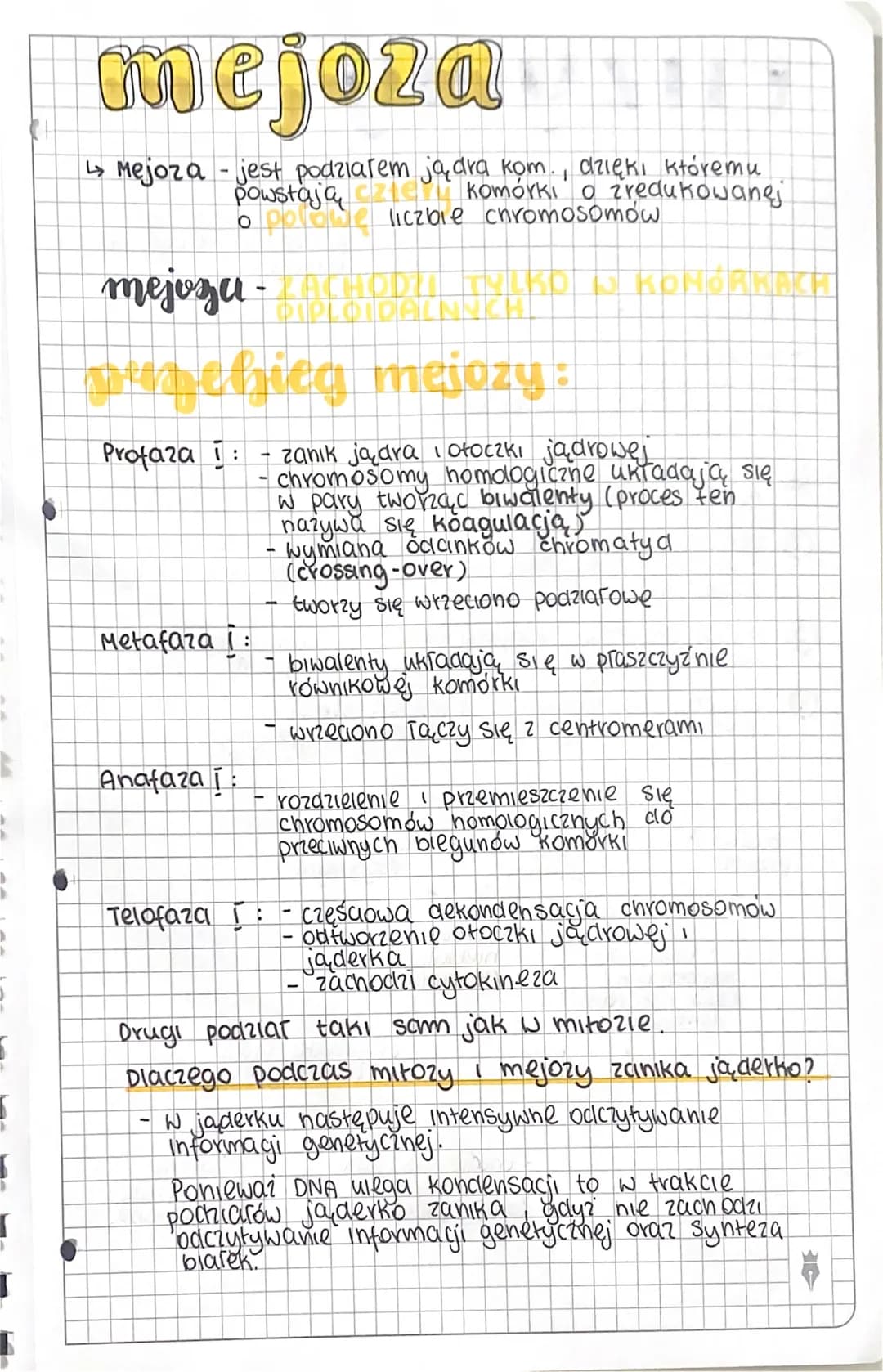 CH
mejoza
↳ Mejoza - jest podziałem jądra kom., dzięki któremu
powstają czIC κονόγκι ο iredukowanej
o polowe liczbie chromosomów
mejoza
musc