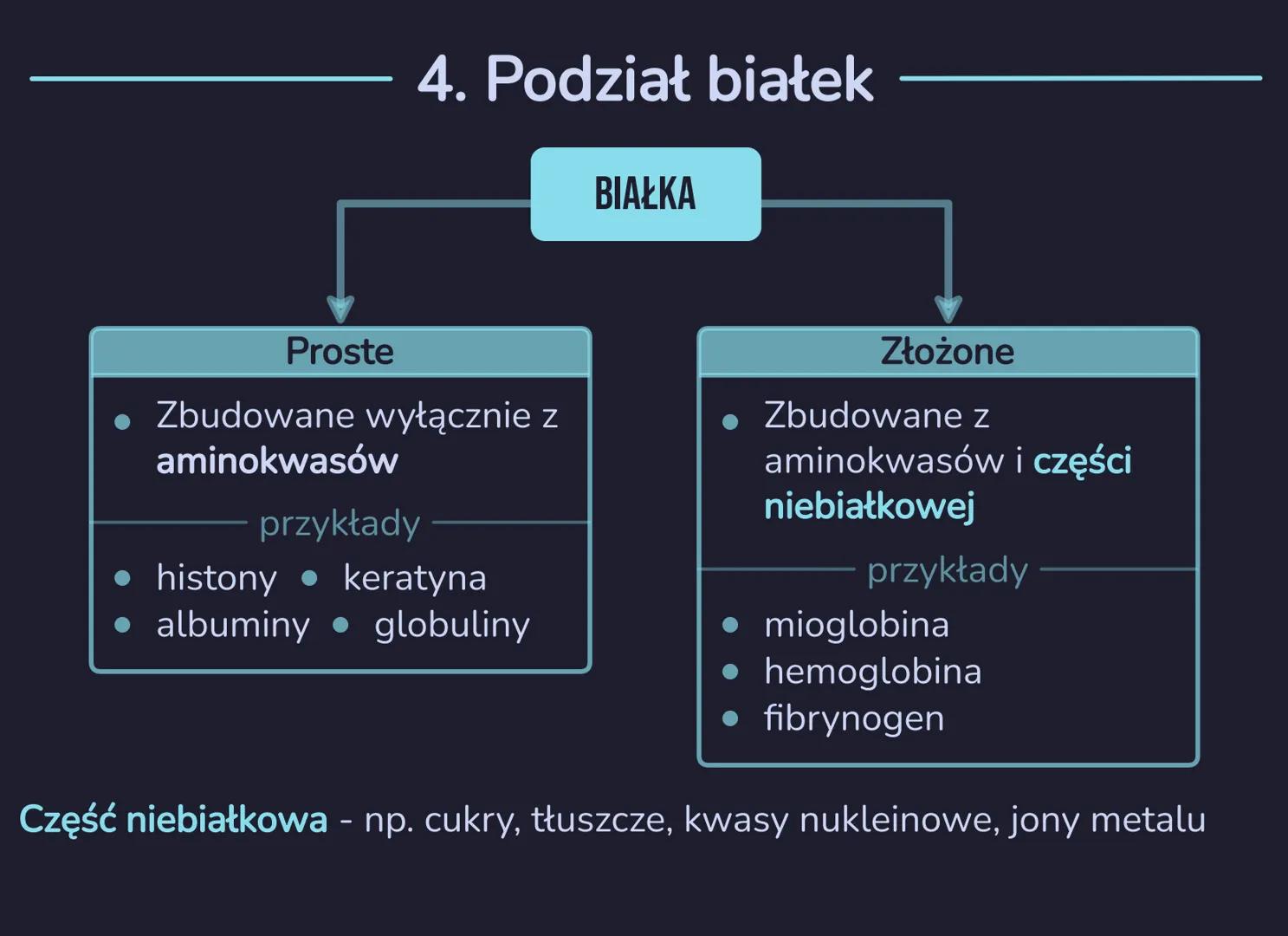 # BIAŁKA - BUDULEC ŻYCIA

1. Białka
2. Budowa białek
3. Aminokwasy
4. Podział białek
5. Funkcje białek

# 1. Białka

*   Główny składnik bud