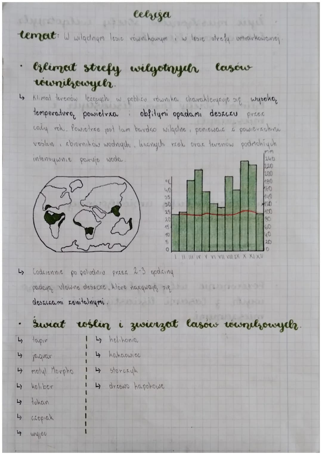 
<h2 id="klimatstrefywilgotnychlaswrwnikowych">Klimat strefy wilgotnych lasów równikowych</h2>
<p>Klimat terenów leżących w pobliżu równika 