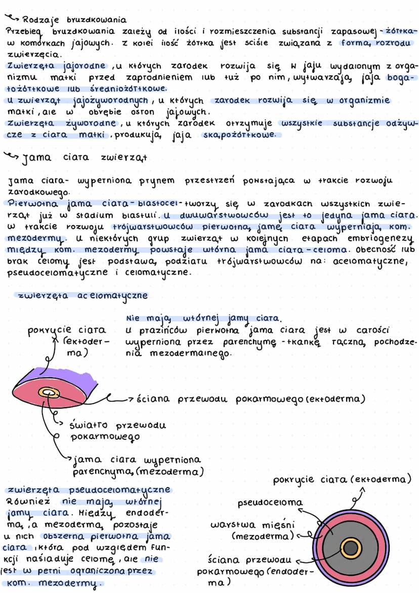 K
L
beztkankowce
давкі
aceiomatyczne
↓
prazince
S
wspóiny przodek
których
zarodek.
my terie
y
f
D
zwiercent.
zwierząt
dwuwarstwowce
✓
т кошс