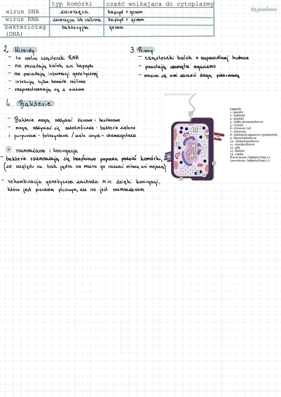 Bakterie i wirusy
1. Wirusy
Cechy ożywione wirusów: - eNoluują
Wirion - Wirus znajdujący się poza żywą komórką
skiada się 2
materia Tu
kapsy