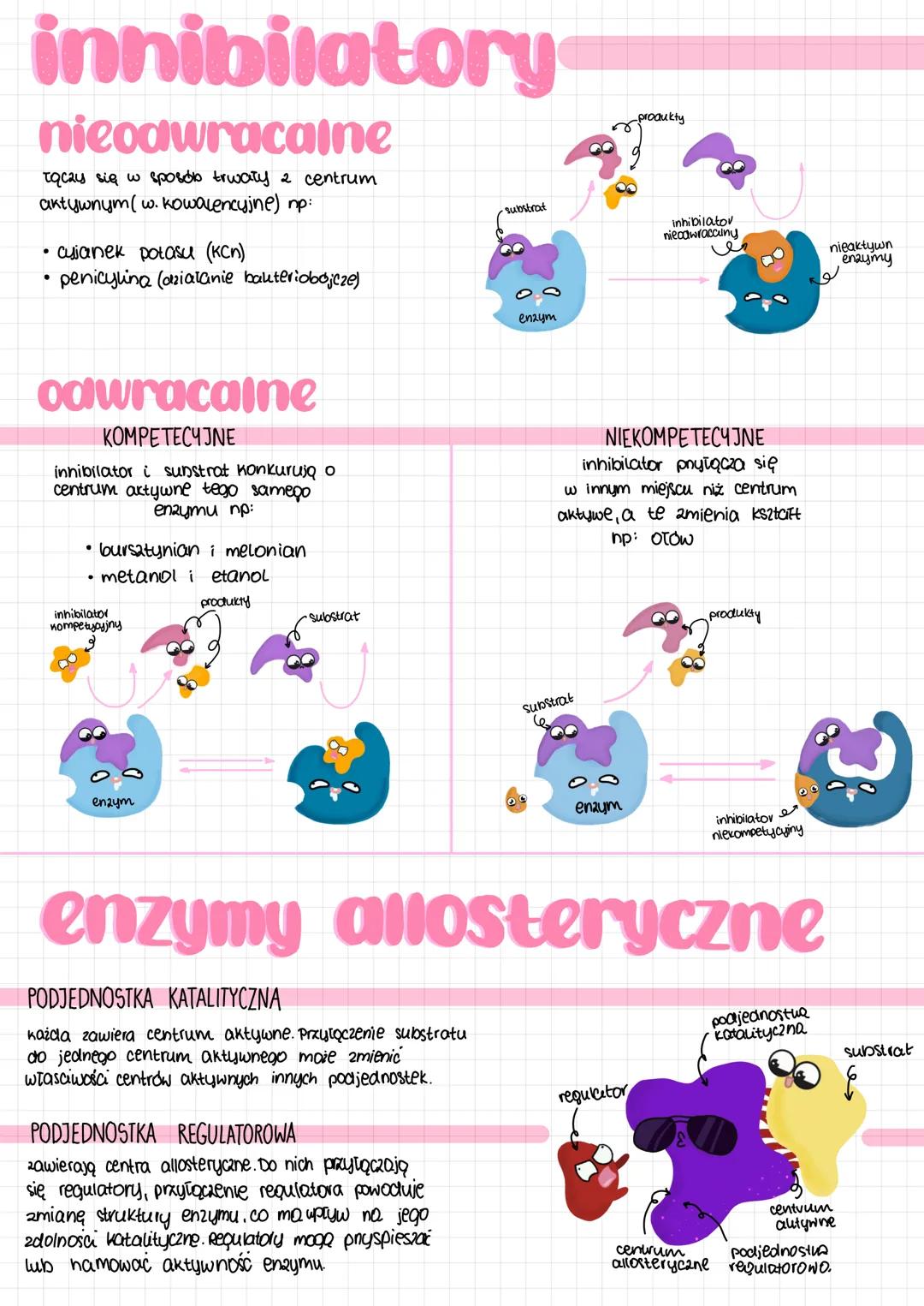 metabolizm
ANABOLIZM
reakcie syntezy, reakcje endoergiczne -
-wymagają dostarczania energii
np. fotosynteza
adenina
ATP adenozynotrifosforan