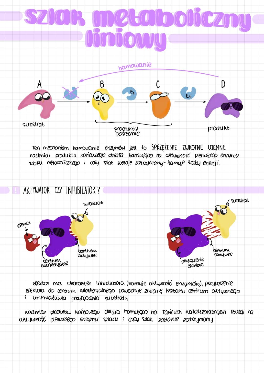 metabolizm
ANABOLIZM
reakcie syntezy, reakcje endoergiczne -
-wymagają dostarczania energii
np. fotosynteza
adenina
ATP adenozynotrifosforan