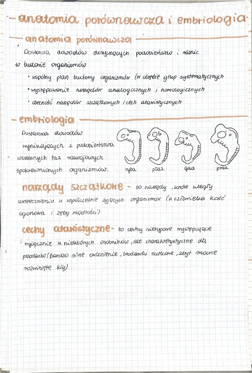 -Troella wiedky o
ewolucji-
ewolucja biologiczna- to proces stopniowych i
nieodwracalnych zmian grup organizmów.
• dotyczy zmian zachookącyc