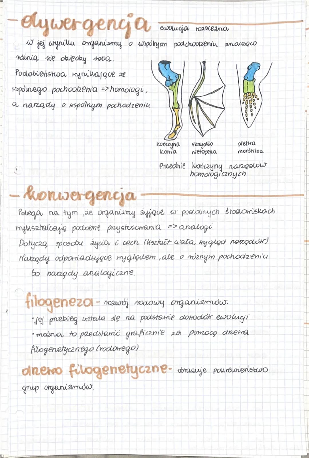 -Troella wiedky o
ewolucji-
ewolucja biologiczna- to proces stopniowych i
nieodwracalnych zmian grup organizmów.
• dotyczy zmian zachookącyc
