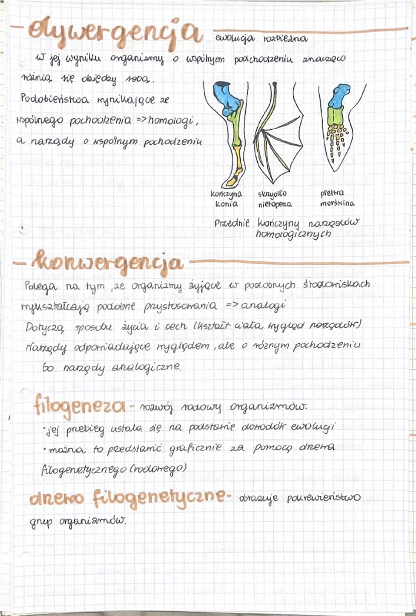 -Troella wiedky o
ewolucji-
ewolucja biologiczna- to proces stopniowych i
nieodwracalnych zmian grup organizmów.
• dotyczy zmian zachookącyc