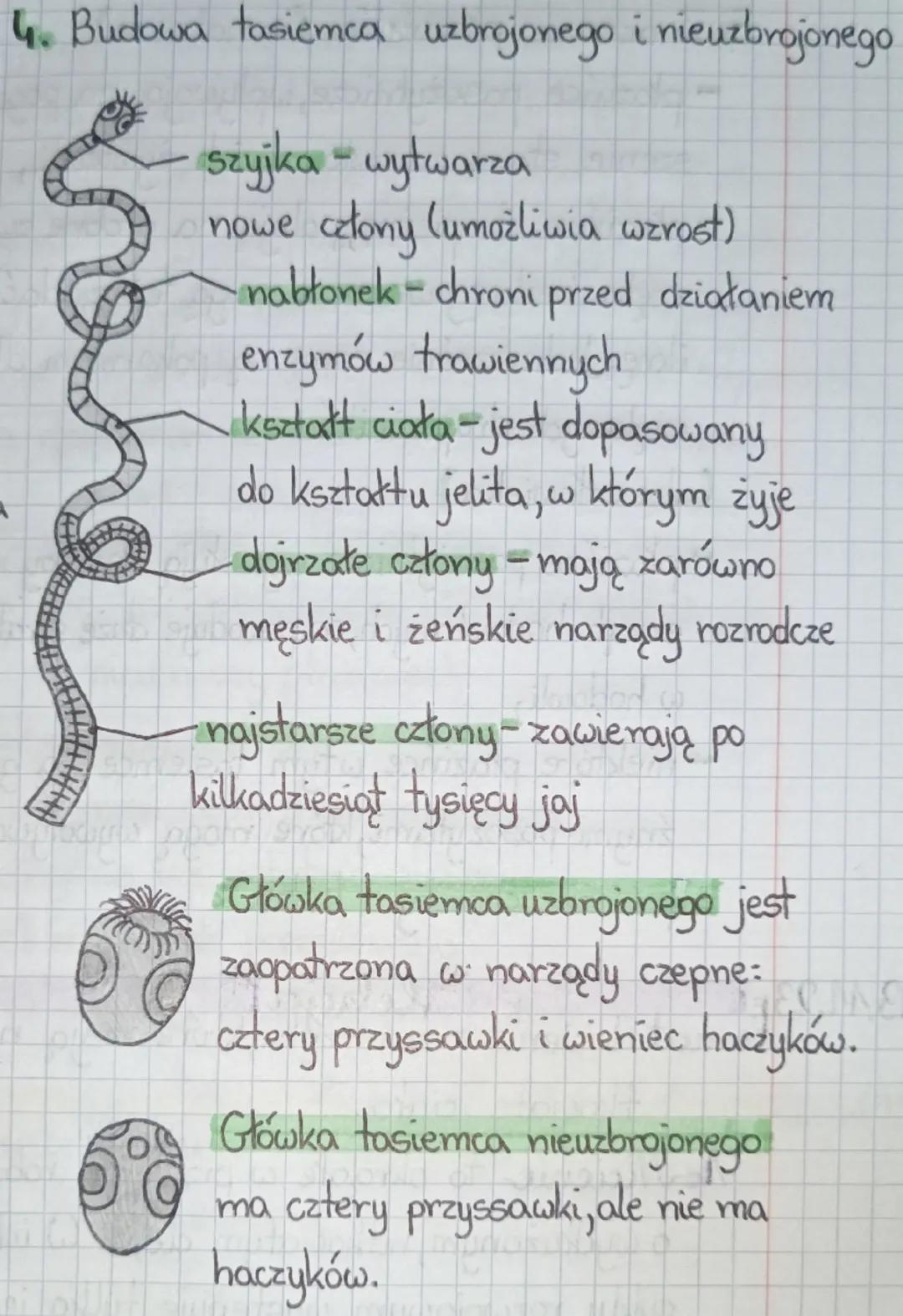 zwierzęta, które mają
temat : Płazińce
* * lekcja
*
*
*
6.11.23
-
płaskie ciało.
1. Środowisko życia płazińców
większość płozińców (np. tasi