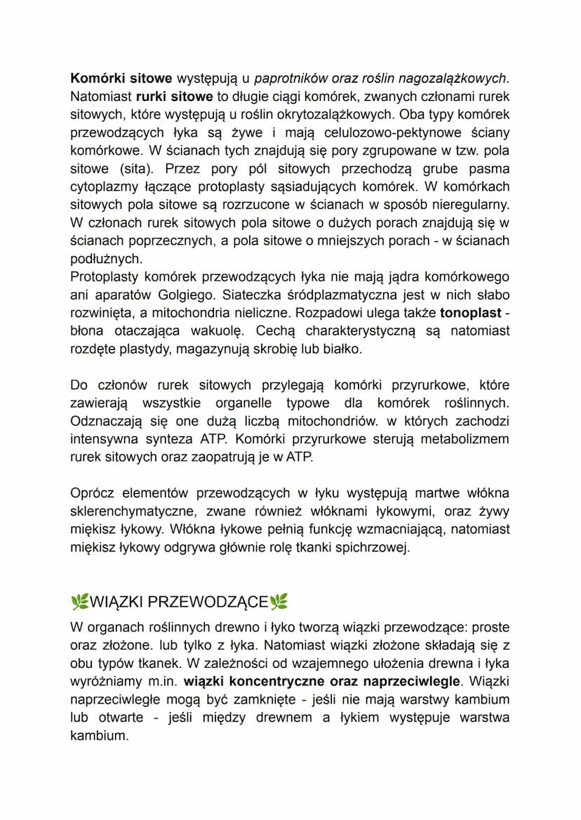 - TKANKI ROŚLINNE -
W organizmach wielokomórkowych komórki o wspólnym pochodzeniu i
podobnej budowie współpracują ze sobą w pełnieniu określ