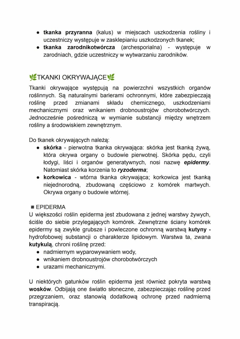 - TKANKI ROŚLINNE -
W organizmach wielokomórkowych komórki o wspólnym pochodzeniu i
podobnej budowie współpracują ze sobą w pełnieniu określ
